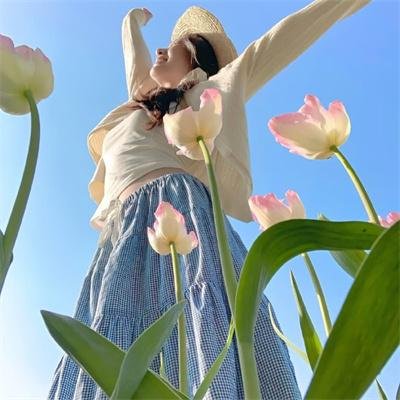 盲点 第五季