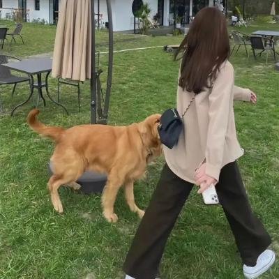 几度菊花香