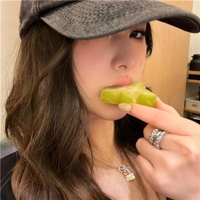 方案